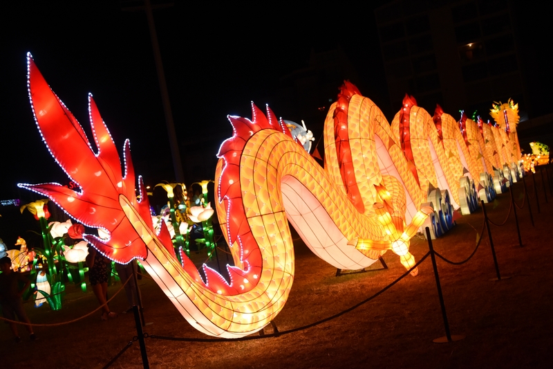 WONDERLAND A magical city of lights